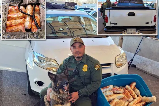 Descubre fentanilo oficial canino en Arizona