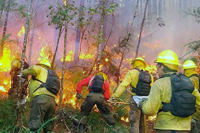 Pide Protección Civil precaución al salir de día de campo