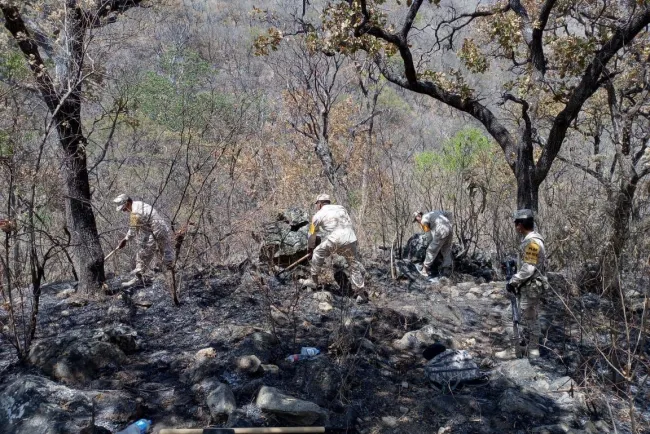 Aplican Plan DN-III-E en incendio forestal de Álamos