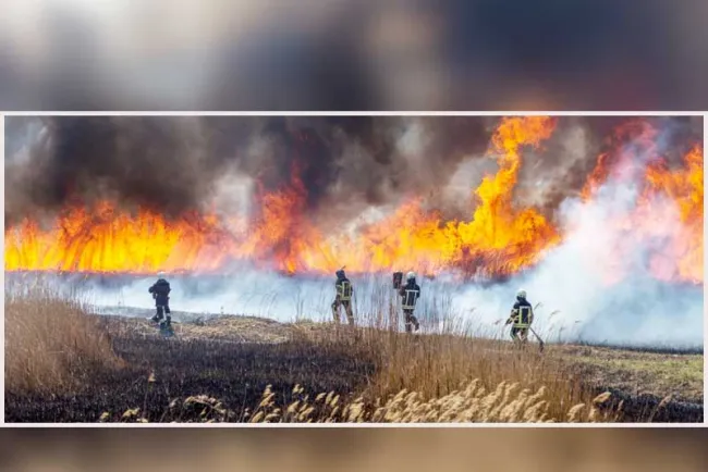 Podría quedar sofocado incendio forestal en Álamos