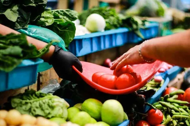 Buscan alternativas ante altos precios