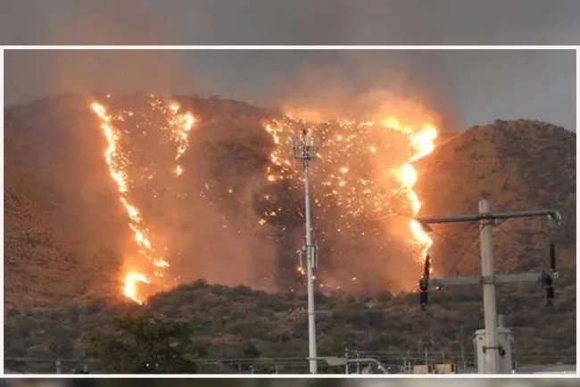 Combaten incendio forestal en cerro del Bachoco