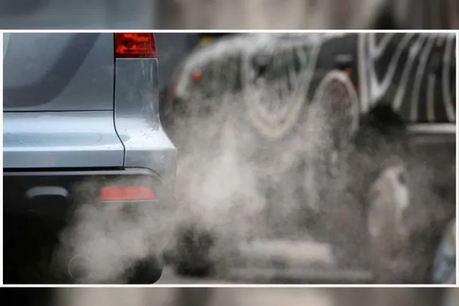 La contaminación ambiental nos compete a todos: Sandra Hernández