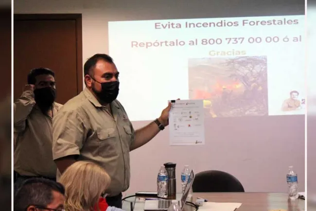 Aumentan incendios forestales en Sonora