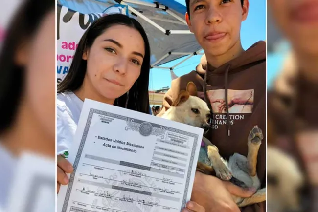 <b>Hacen feria de adopción de mascotas </b>