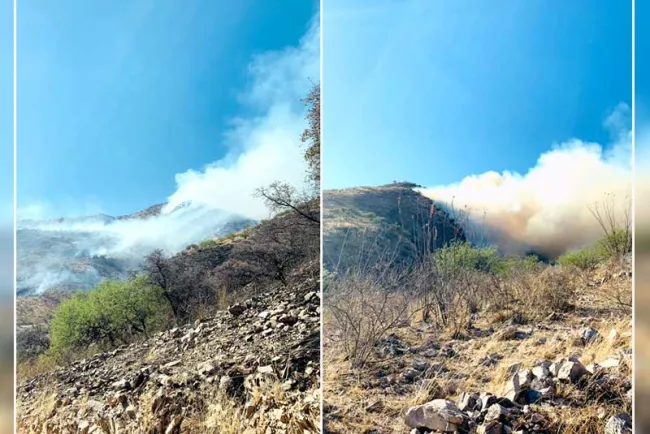 Avanza combate a incendio forestal en Ímuris