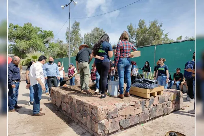 Plantan ‘jacarandas’ en unidad deportiva