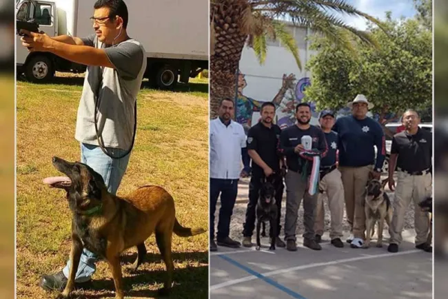 Despiden con honores a oficial K9 Mika