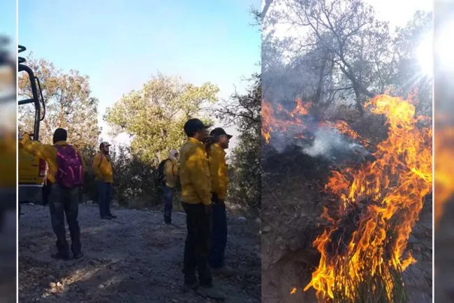 Da UMPC recomendaciones para evitar incendios forestales