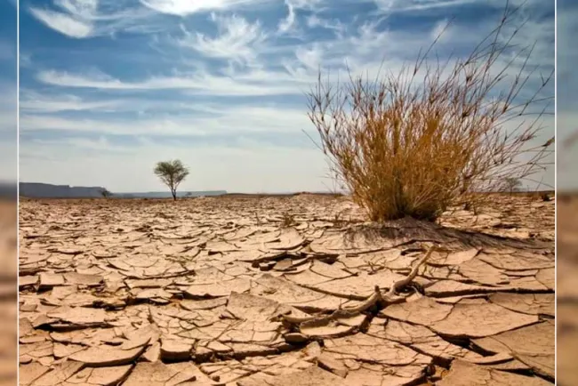 Alertan de escasez de agua en Phoenix