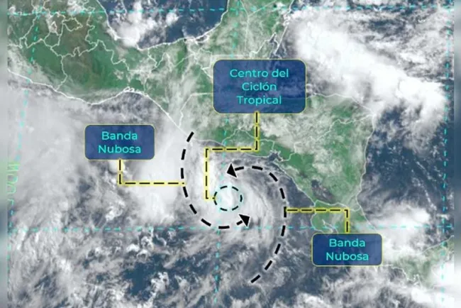 Toma forma tormenta tropical 'Celia' en el Océano Pacífico