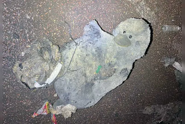 Bloquean drenaje con mono de peluche 