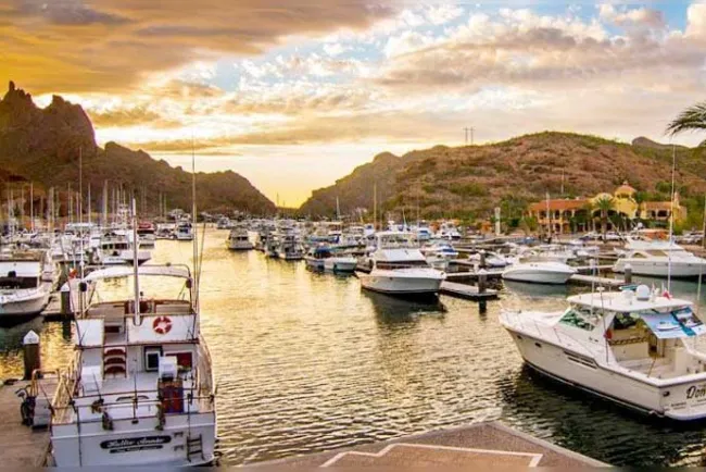 Afecta ventas en bares y restaurantes violencia en San Carlos