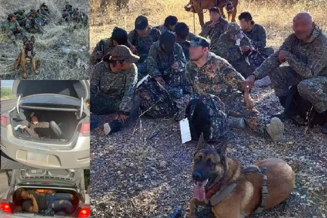 Detienen a migrantes y ‘polleros’ en Arizona