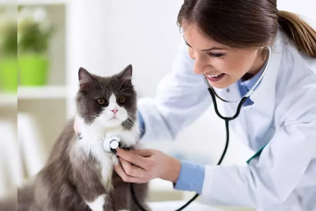 Celebran en esta frontera el Día del Médico Veterinario