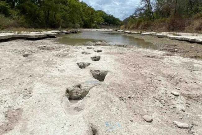 Encuentran huellas de dinosaurios en Texas