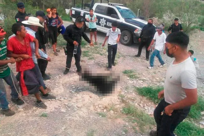 Va Profepa contra quienes torturaron y asesinaron a osezna