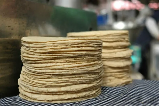 Mi principal preocupación es la tortilla: AMLO