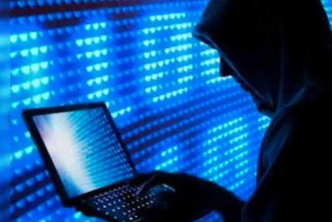 Hackers que vulneraron seguridad de Sedena son los “Guacamaya”