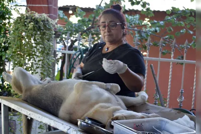 Realizan jornada de esterilización canina y felina en Los Encinos