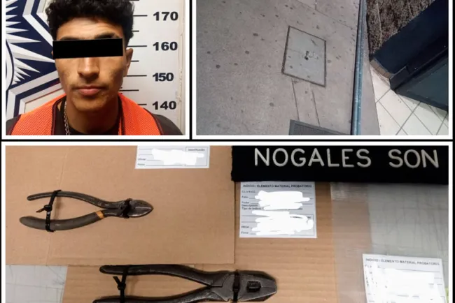 Detenido en pleno robo en La Mesa