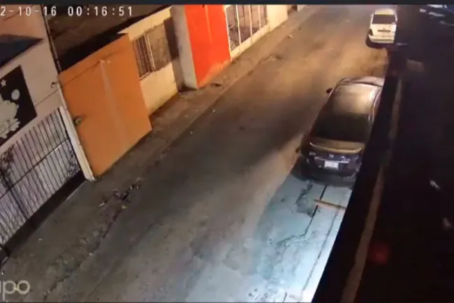 Defienden perritos la casa y ladrón cae desde la azotea