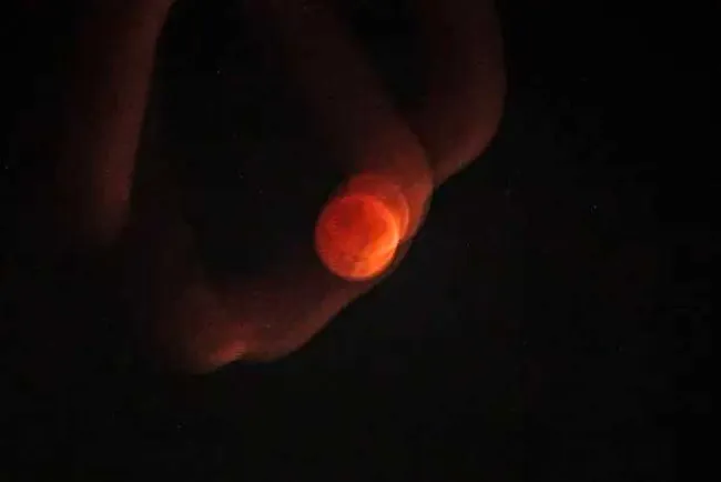 Así se vio el Eclipse Lunar en diferentes partes del mundo
