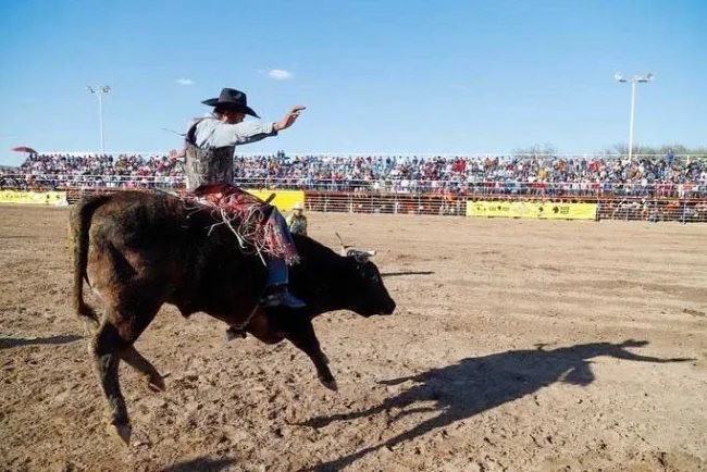 Realizan con éxito segunda etapa del Circuito de Rodeo 2022