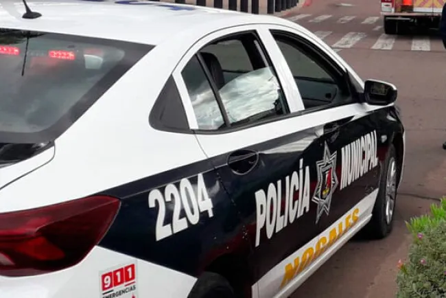 Roban estancia infantil
