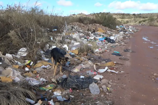 Convierten camino de terracería en basurero clandestino