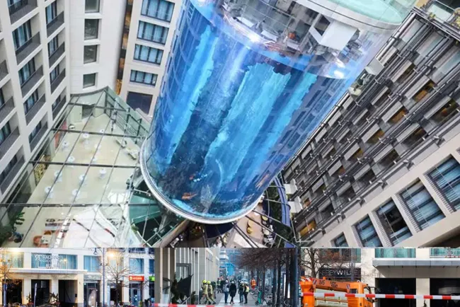 Estalla acuario en Berlín; tenía más de mil 500 peces