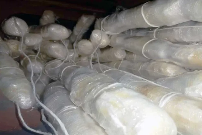 Asegura Sedena fentanilo y metanfetamina en Nogales