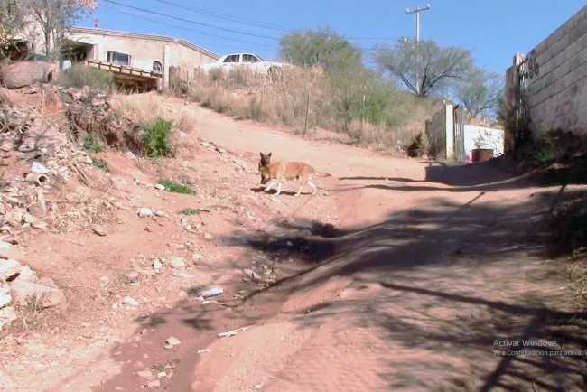 Piden vecinos reparación de calle en colonia Altamira