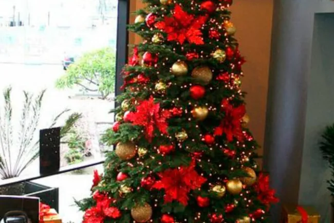 Cuestan decoraciones navideñas “austeras” entre 3 mil a 5 mil pesos