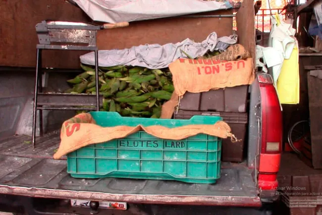 Tienen comerciantes de elotes buenas ventas
