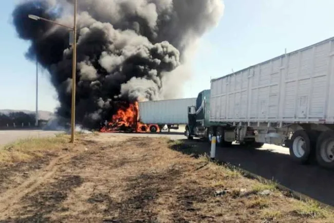 Fuerzas de seguridad deben permanecer en alerta en Sonora: Paz Pellat