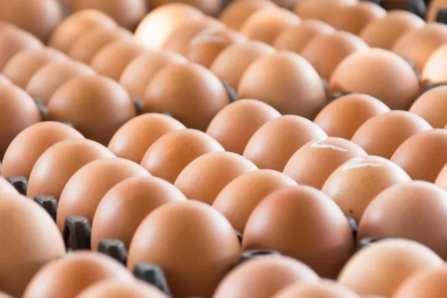 Prohíben a viajeros cruzar con huevos crudos desde México