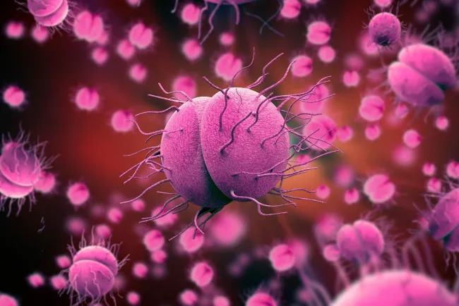 Detectan nueva de cepa de gonorrea resistente a varios antibióticos