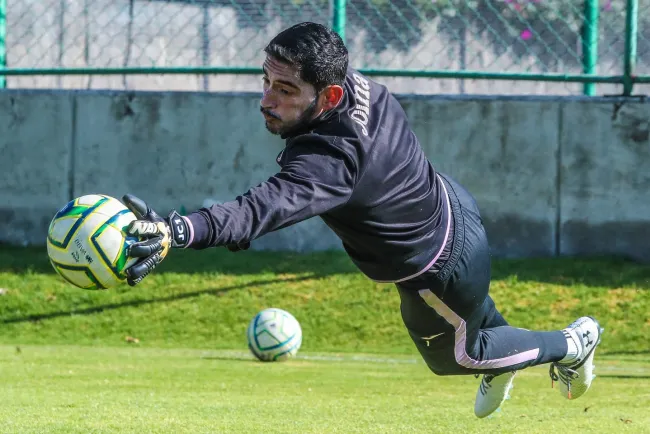 Buscan Celestes volver al triunfo