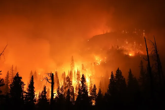 Manda México brigadistas para controlar incendio en Chile