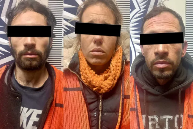 Son sorprendidos desmantelando un vehículo robado