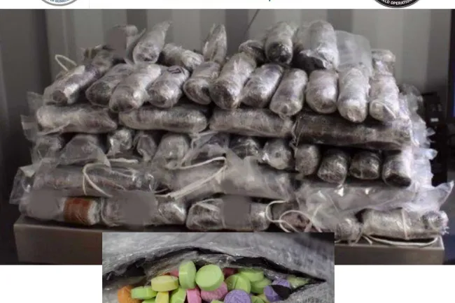 Decomisan más de 300 mil pastillas de fentanilo