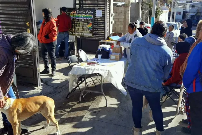 Firmes a superar número de esterilizaciones que se lograron en 2022