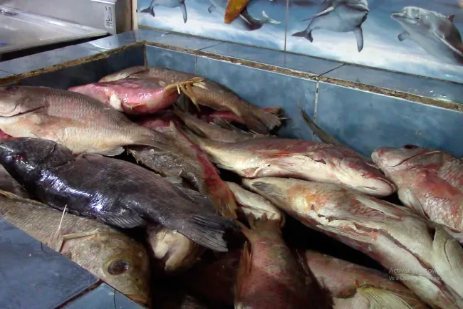 Reportan buena venta de mariscos en inicio de Cuaresma