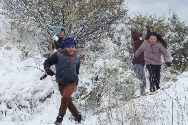 Salen a divertirse bajo la nieve