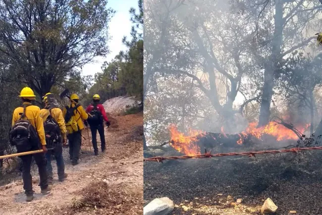 Alertan por incendios forestales en estas fechas