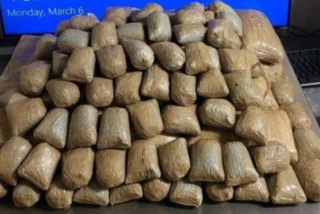Logra canino decomisos de drogas en garita de Arizona
