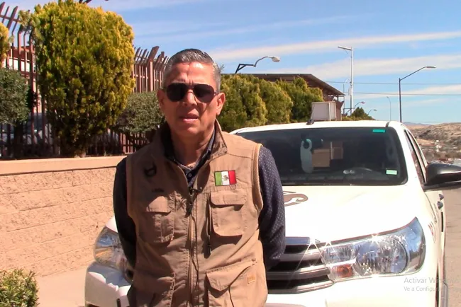 Reportan enjambres de avispas en escuelas