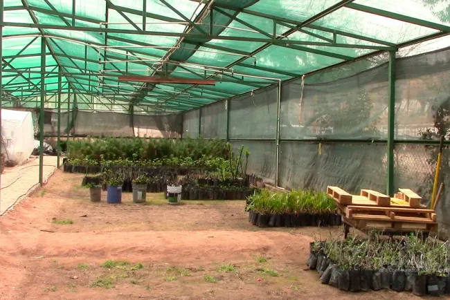 Llega la primavera y con ello la importancia de saber que se puede plantar