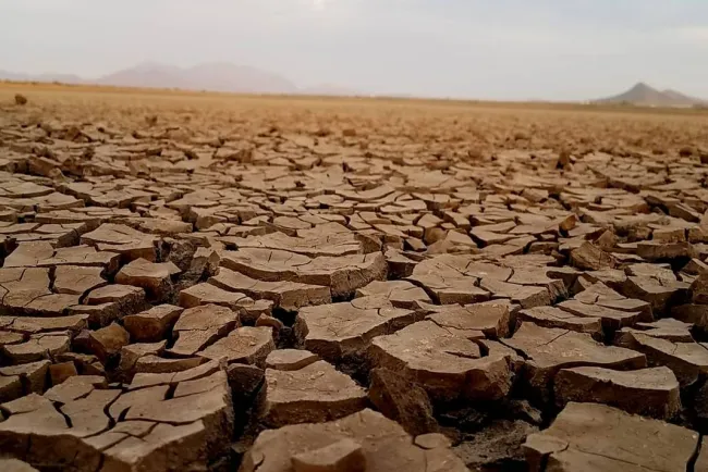Gobiernos deben enfocar esfuerzos en cuidado del agua: IMCO